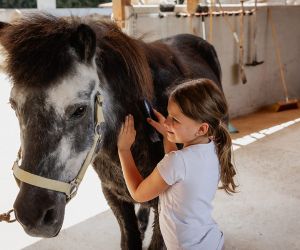 michaelaraningeranikapferdunbenanntefotosession003
