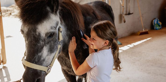 michaelaraningeranikapferdunbenanntefotosession003