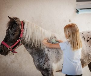 michaelaraningeranikapferdunbenanntefotosession016